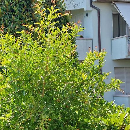 A Casa Danoi Βίλα San Clemente  Εξωτερικό φωτογραφία