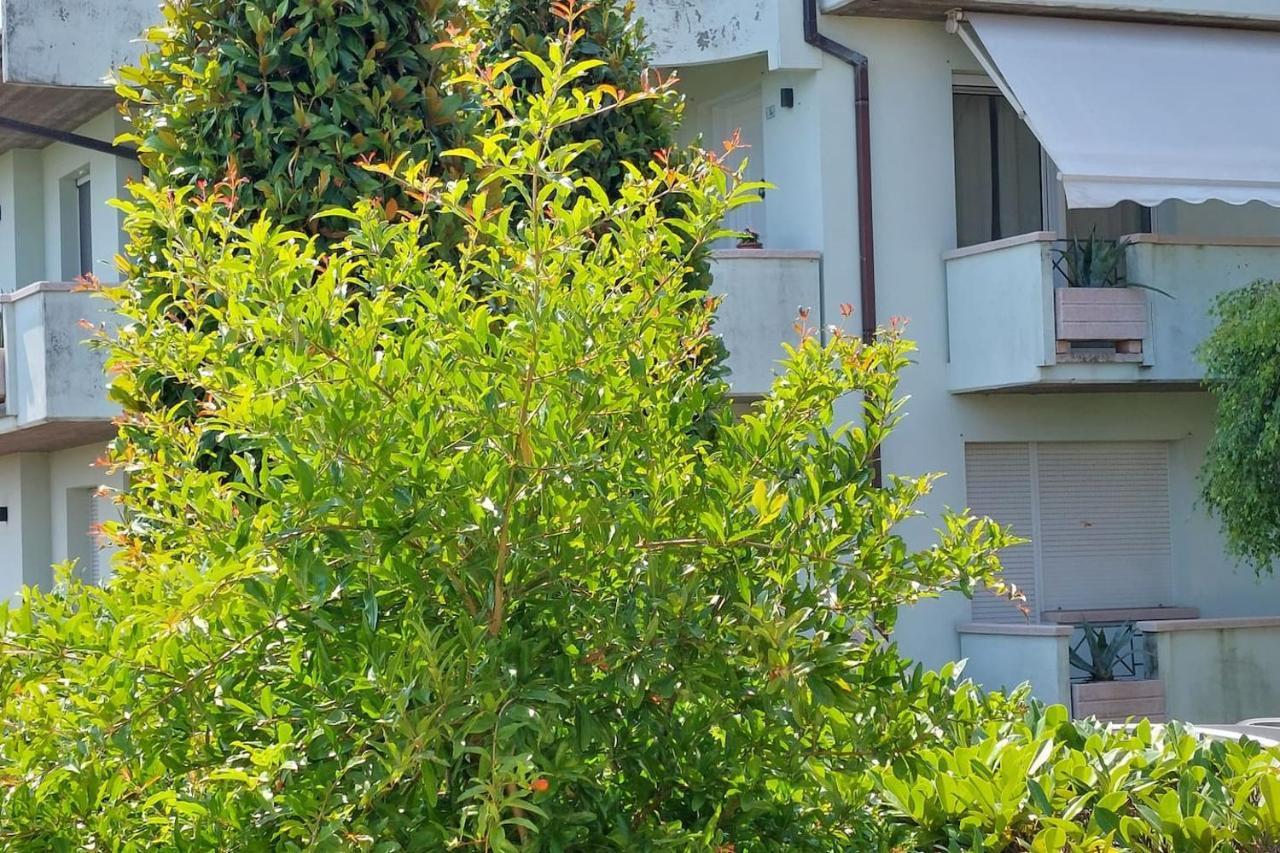A Casa Danoi Βίλα San Clemente  Εξωτερικό φωτογραφία